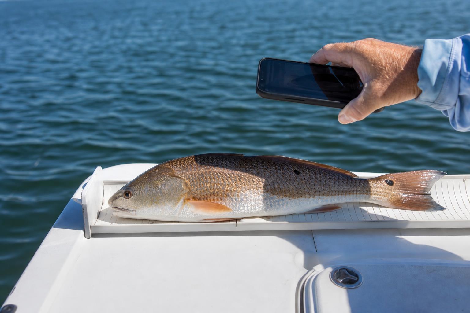 How to Score a Fishing Tournament: Weigh-In vs. Catch-Photo-Release
